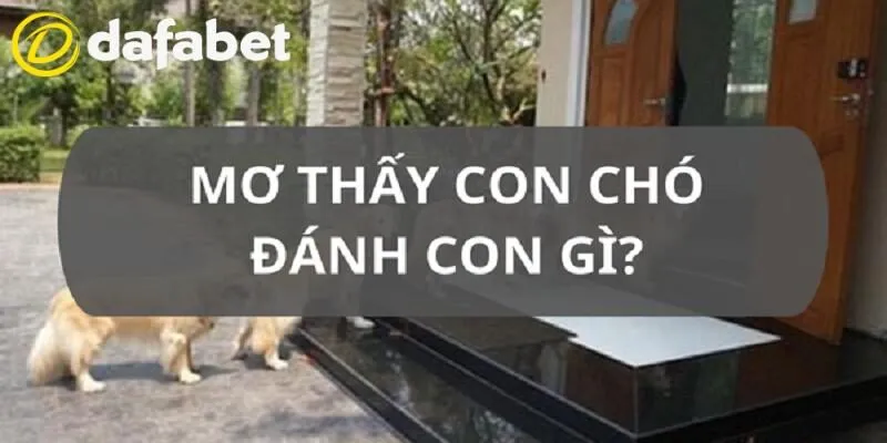 Mơ Thấy Chó Đánh Con Gì Tại Dafabet - Giải Mã Điềm Báo 4 Mơ thấy chó đánh con gì tại Dafabet