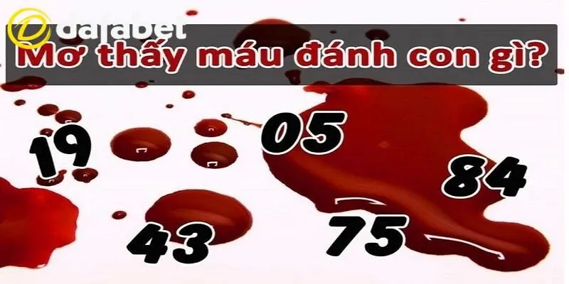 mo thay mau danh con gi