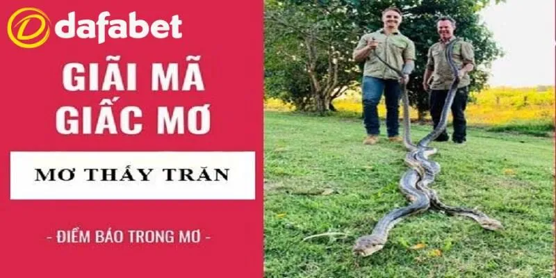 mo thay tran